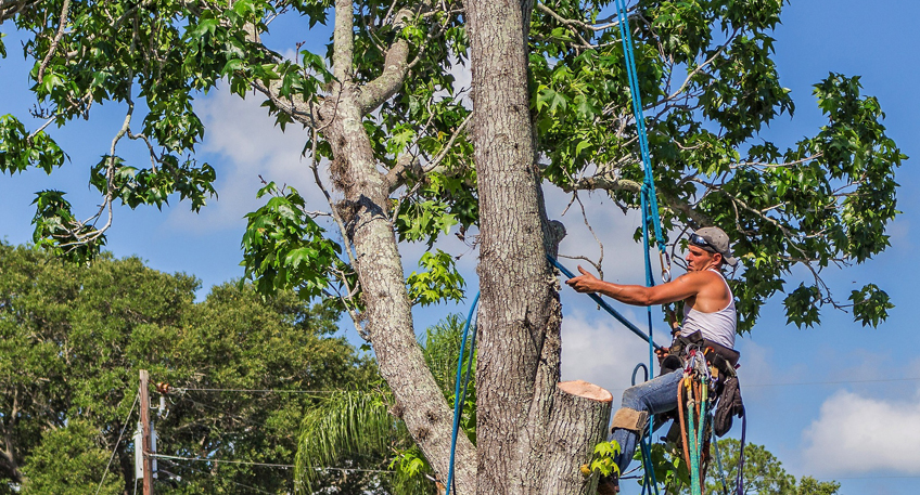 Stra&szlig;ensperrung in Petershagen wegen Pflegearbeiten