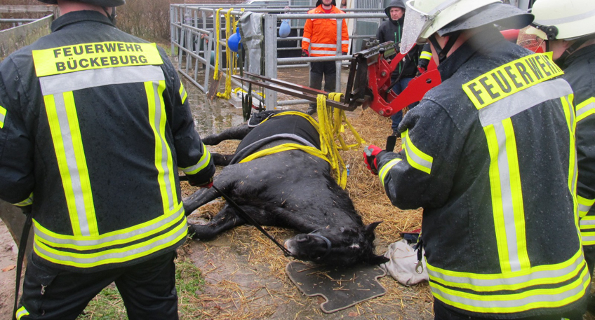 Feuerwehr rückt zur Tierrettung aus