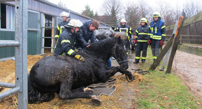 Feuerwehr rückt zur Tierrettung aus