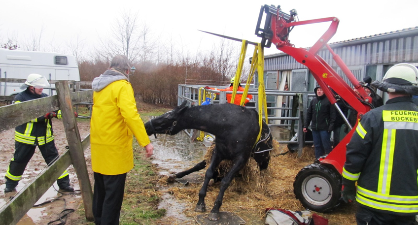 Feuerwehr rückt zur Tierrettung aus