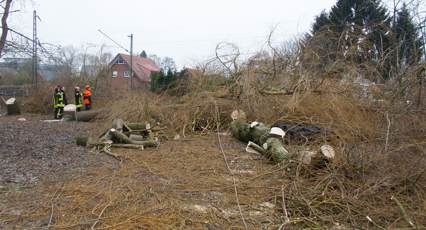 20170108 hallo minden stemwede baumfaellarbeiten oberleitung und zug zerstoert.jpg