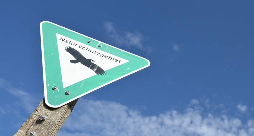 Einblick in Planung f&uuml;r Naturschutzgebiet 'Im Stemweder Berg'