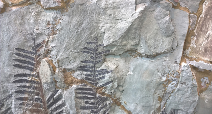 Mineralien- & Fossilienbörse in Porta Westfalica Mineralien- & Fossilienbörse in Porta Westfalica