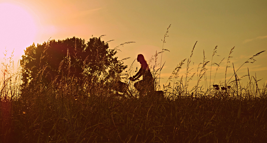 Vier Sterne f&uuml;r den Weser-Radweg