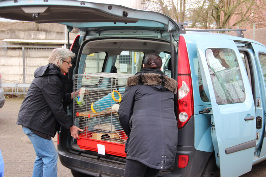 20170318-hallo-minden-umzug-tierheim