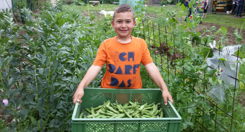 Inklusionsprojekt im Gemeinschaftsgarten Tausendschön