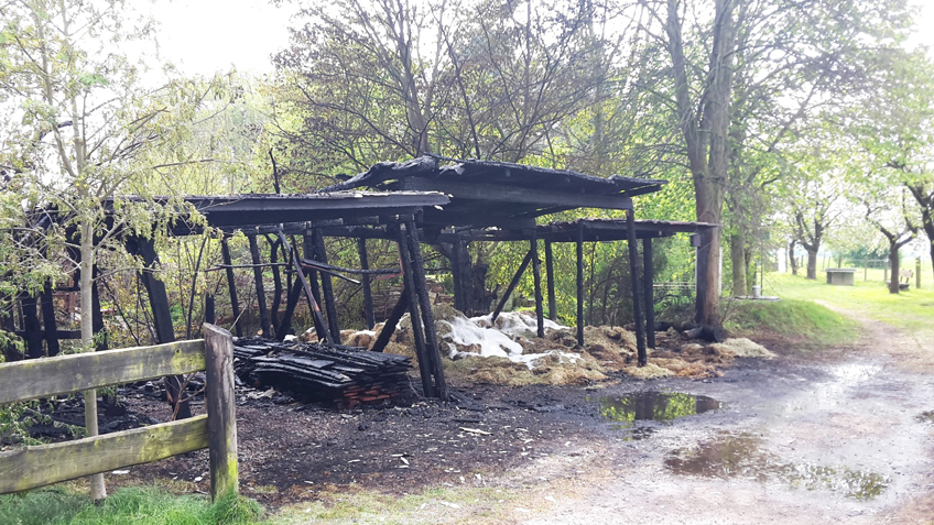 20170502-hallo-minden-feuerwehr-warber