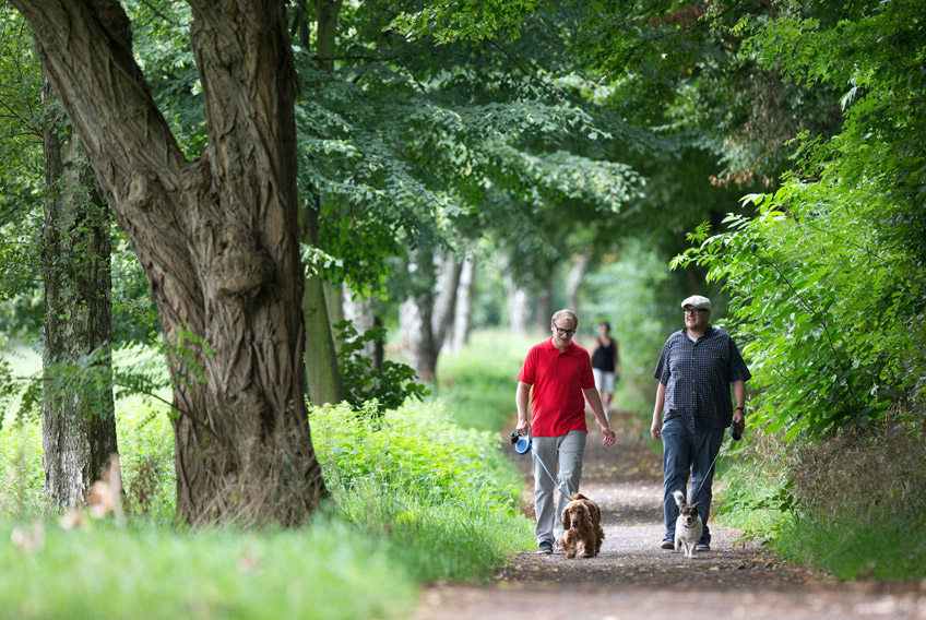 20170505-hallo-minden-glacis-ist-denkmal