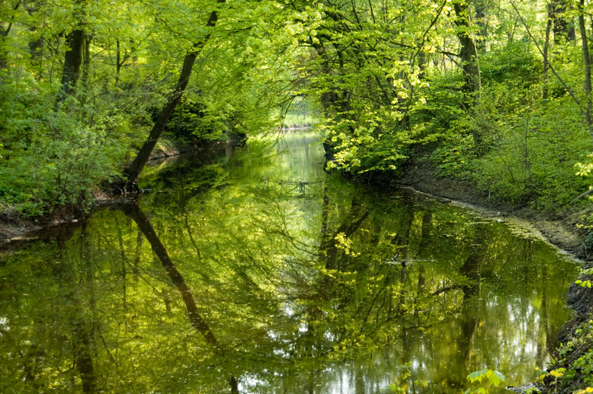 20170505-hallo-minden-glacis-ist-denkmal