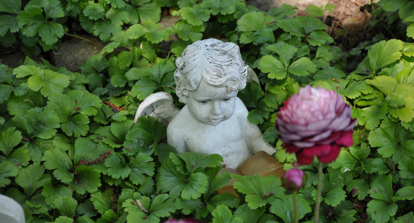 20170614-hallo-minden-friedhofsfuehrung