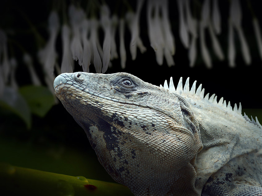 20170715 hallo minden zolleinfuhrbestimmungen 01