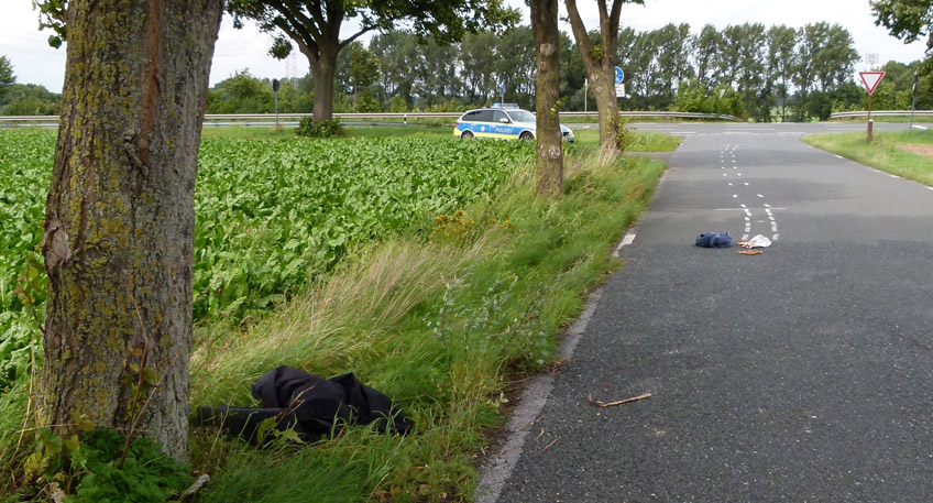 20170802 hallo minden unfall hille