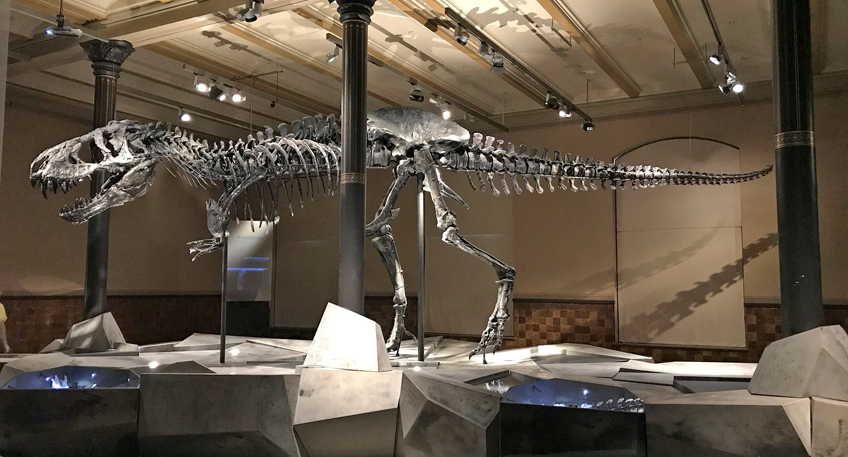 Vortrag: Auf den Spuren der Dinos in unserer Region Vortrag: Auf den Spuren der Dinos in unserer Region