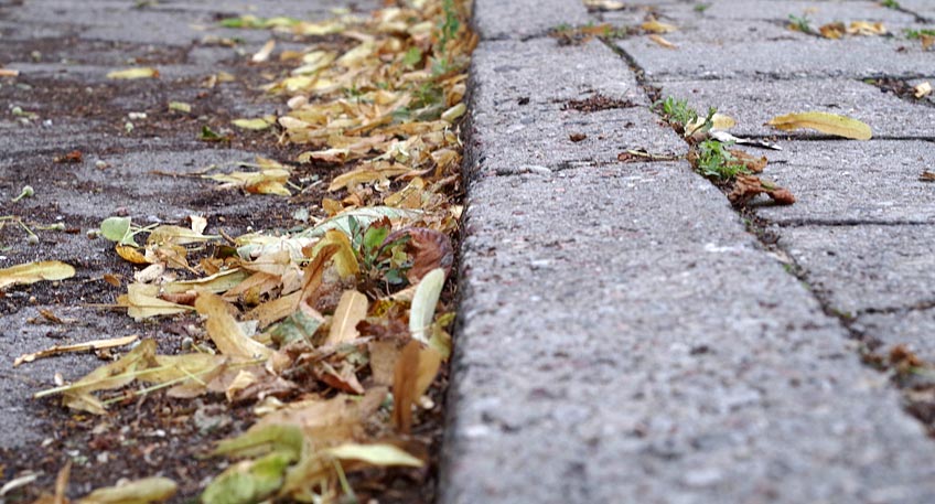 Rutschgefahr auf Gehwegen: Laubfegen gibt Sicherheit Rutschgefahr auf Gehwegen: Laubfegen gibt Sicherheit