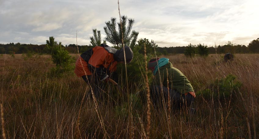 Renaturierung der Moorlandschaften im M&uuml;hlenkreis 