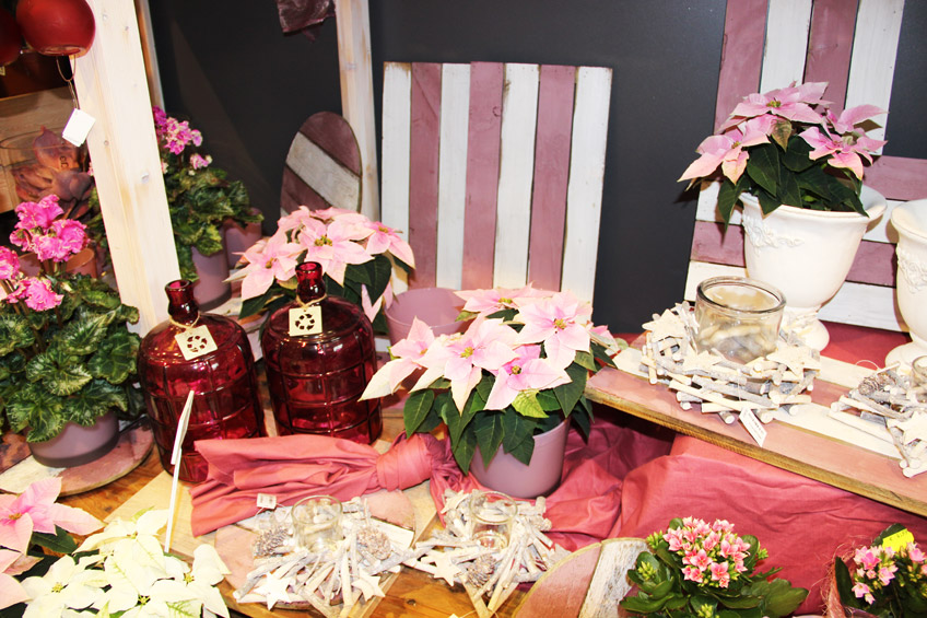 20171107-hallo-minden-adventsausstellung-harmening-00