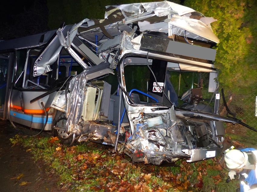 73-jähriger Busfahrer prallt gegen Straßenbaum