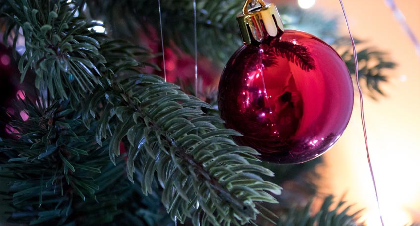 Einsammlung der Weihnachtsbäume in Bad Oeynhausen Einsammlung der Weihnachtsbäume in Bad Oeynhausen