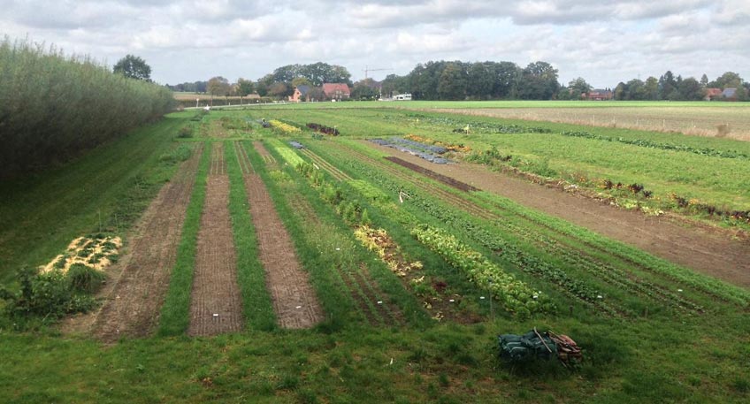 Info-Veranstaltung der Solidarischen Landwirtschaft Minden