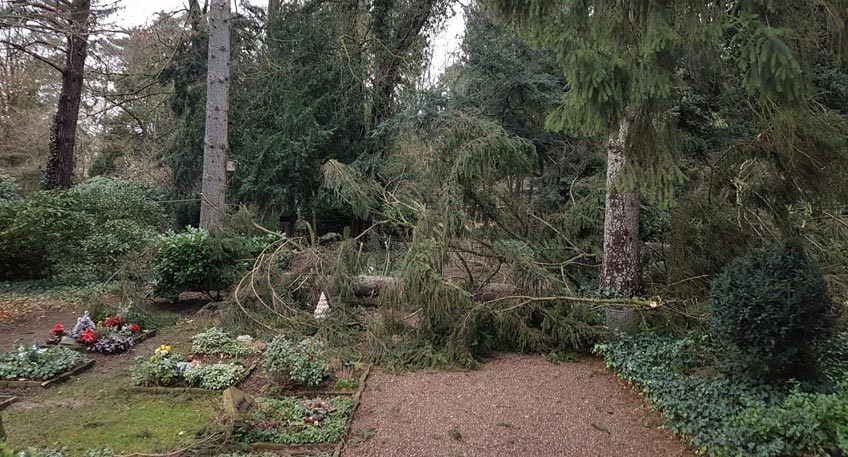 Sturmschäden: Botanischer Garten vorerst geschlossen