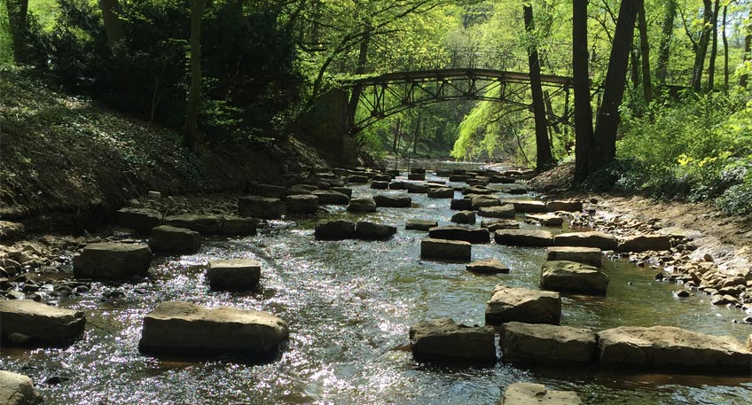 Ausstellungser&ouml;ffnung 'Lebendige Gew&auml;sser' am Samstag