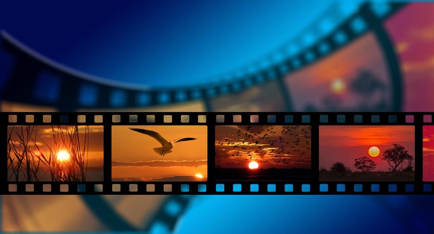 Moorhus zeigt 'Taste the Waste' Film