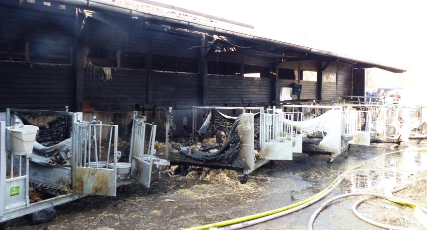 Brand eines Stalls: Zwei Männer verletzt - Ein Tier verendet