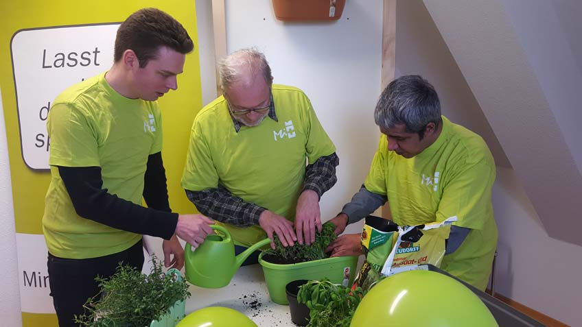 20180308-hallo-minden-kraeutergarten