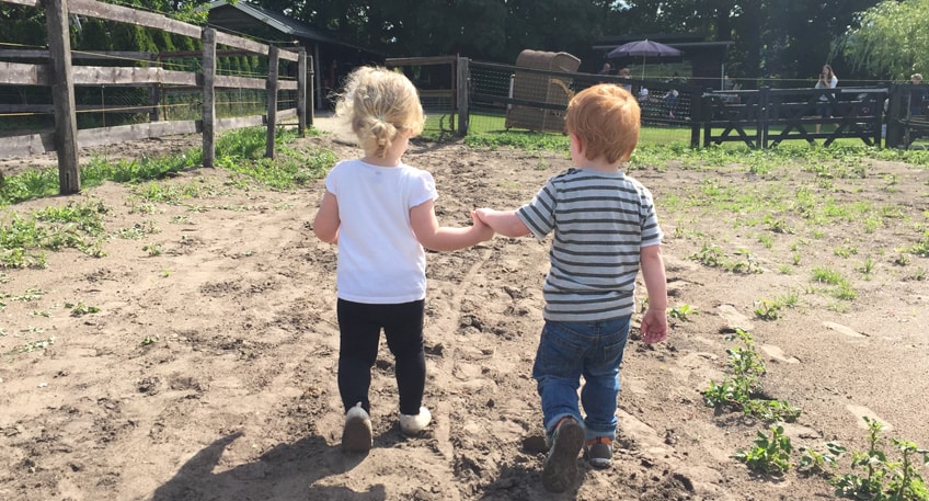 Nachrichten Minden - Sommerfest in der Kita Sieben Bauern - HALLO MINDEN