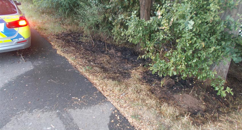 20180807-hallo-minden-braende-gevattersee