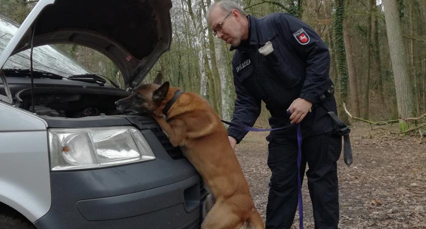 Polizeihund findet nach Verfolgungsfahrt Betäubungsmittel