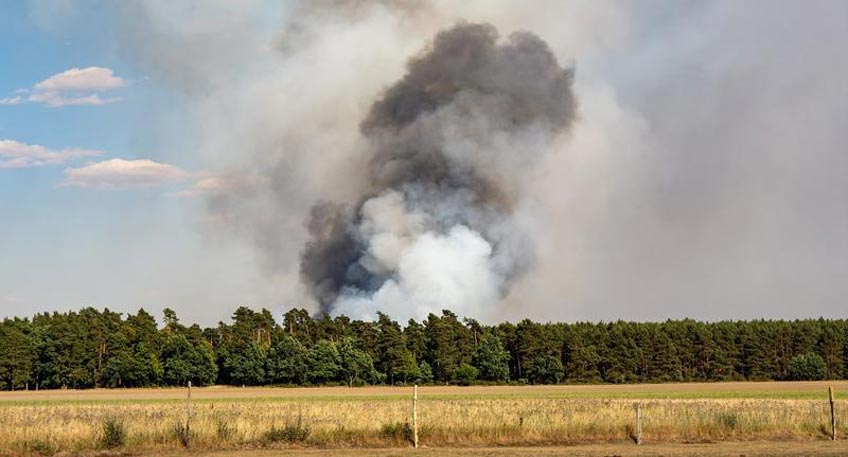 20190521 hallo minden klimawandel