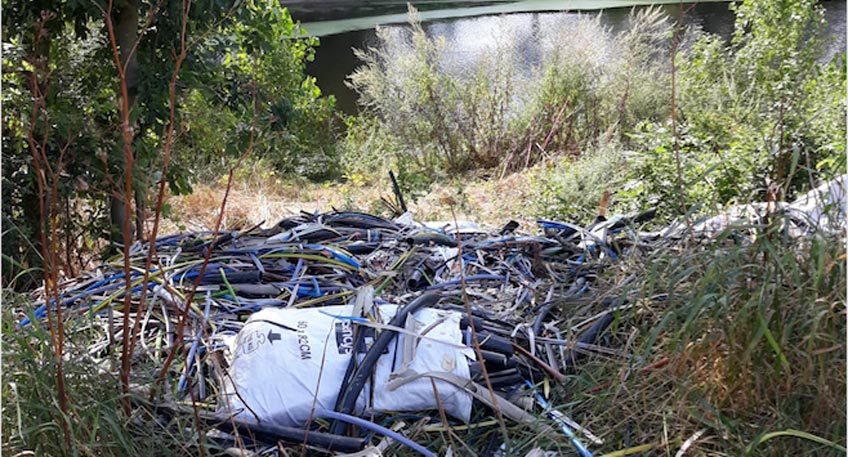 0190814-hallo-minden-see-verschmutzung