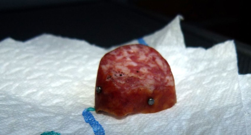 20190921 hallo minden giftkoeder espelkamp