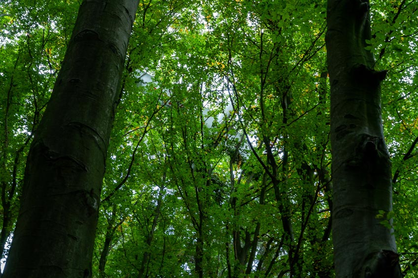 20191014 hallo minden segelflieger rettung 00