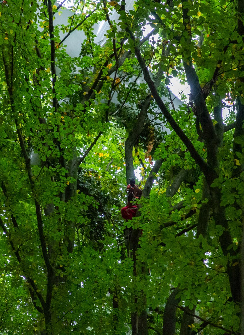 20191014 hallo minden segelflieger rettung 00