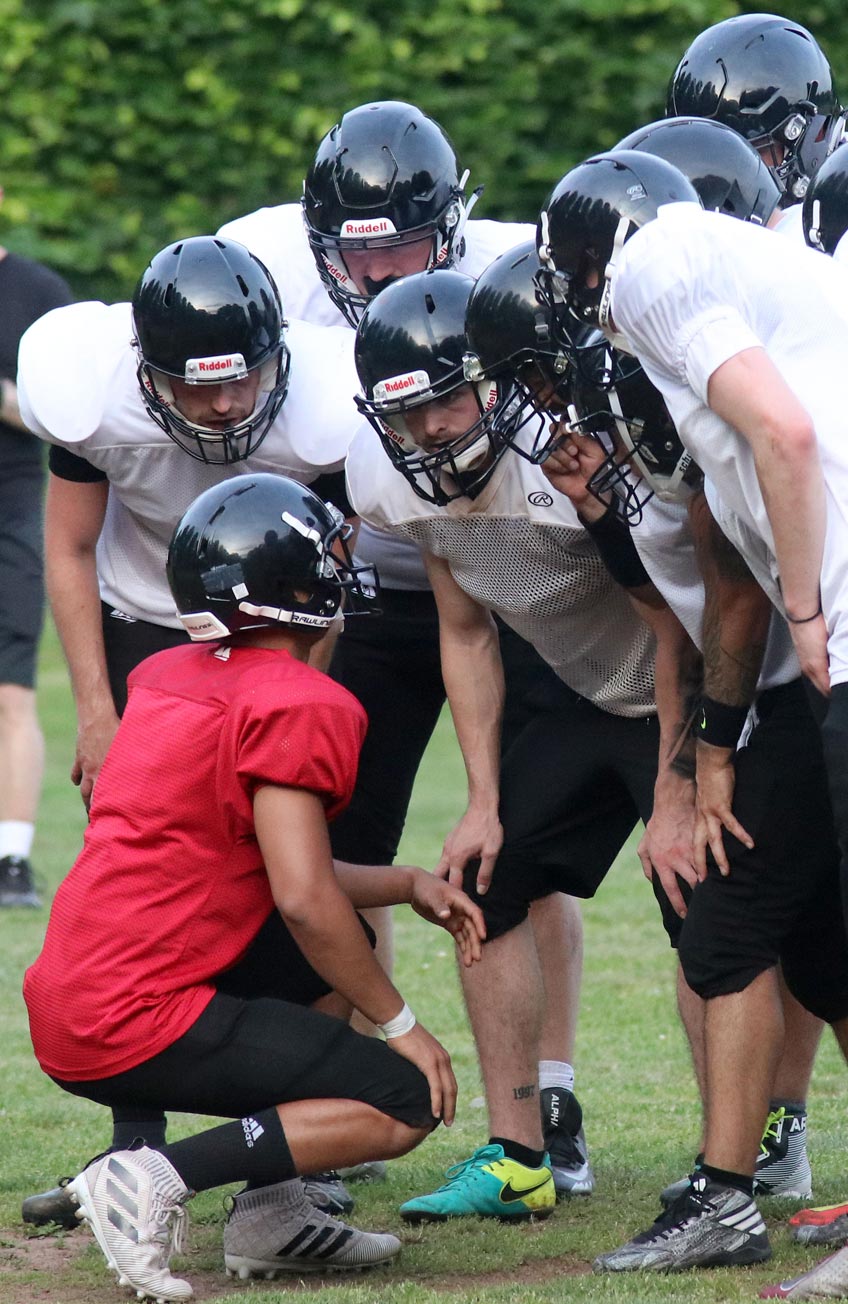 20191016-hallo-minden-wolves