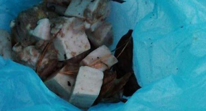 20191202 hallo minden giftkoeder