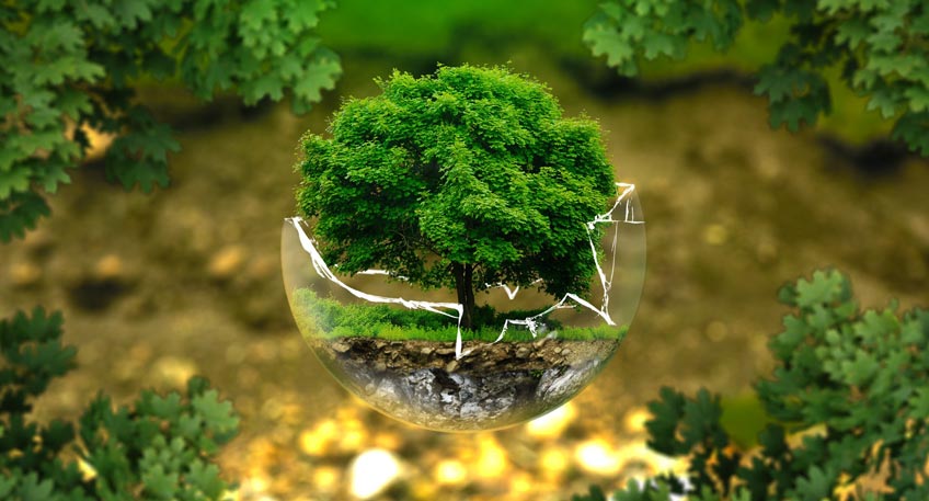 20200128 hallo minden klimaschutz