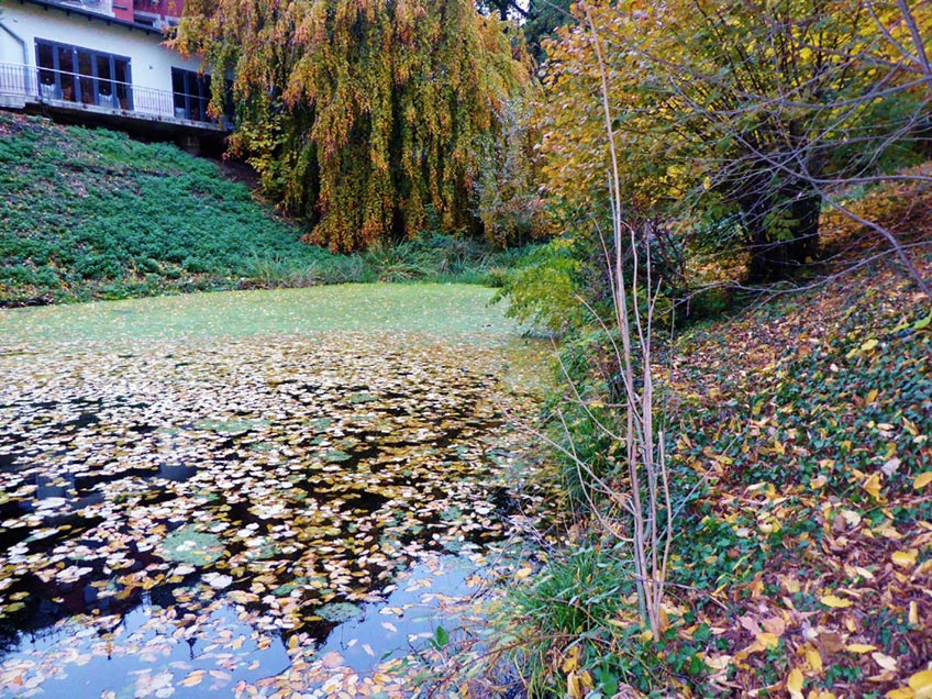 20200904-hallo-minden-glacis