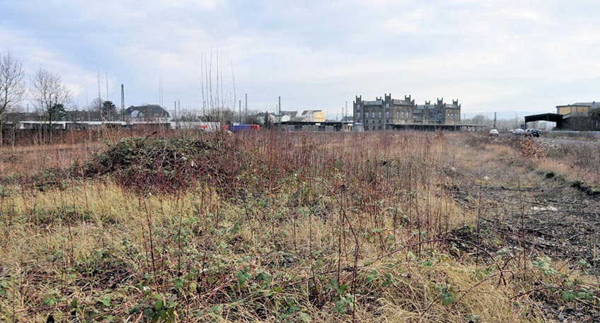 20200904-hallo-minden-multihalle