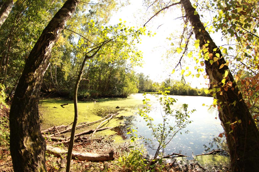 Wandern und Naturerleben liegen im Trend und werden jedes Jahr beliebter. Das Wiehen- und Wesergebirge ist als Wandergebiet durchaus bekannt, touristisch aufgewertet wird das Gebiet jetzt durch die professionelle Ausschilderung.