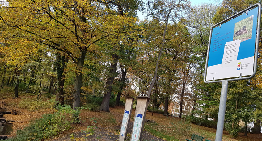 20201105 hallo minden enten 00