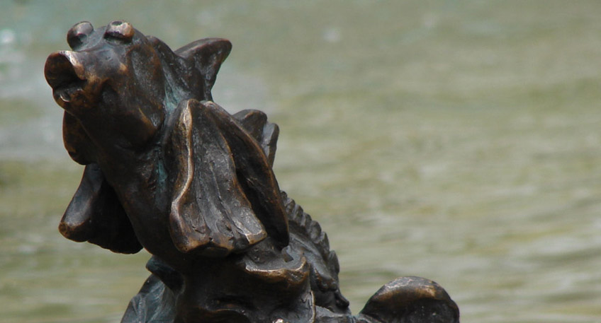 20201106-hallo-minden-stichling