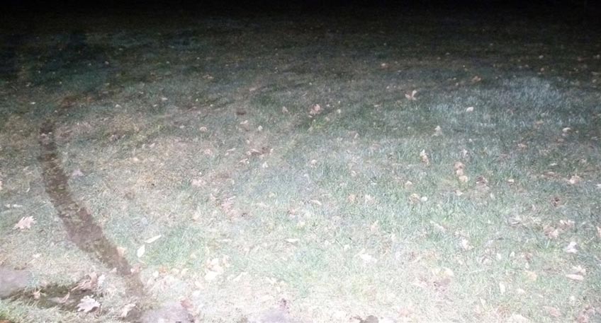 20210126 hallo minden vandalen