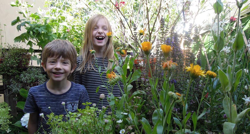 20210221 hallo minden bienen 01