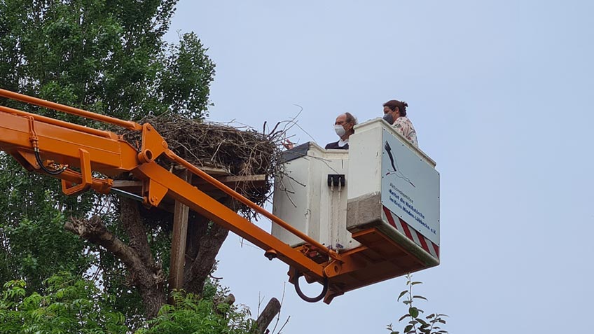 20210614-hallo-minden-stoerche