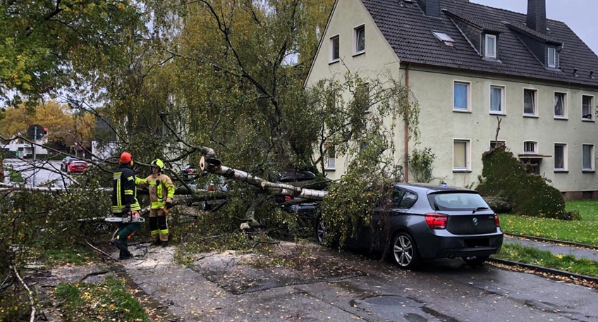 Sturm "Ignatz" hat am Donnerstagvormittag für einen größeren Schaden in Bad Oeynhausen gesorgt. In der Albert-Rusch-Straße kippte ein Baum um beschädigte zwei am Straßenrand geparkte Autos. Verletzt wurde niemand. Nach einer ersten Einschätzung der Polizei entstand ein Schaden von über 10.000 Euro.