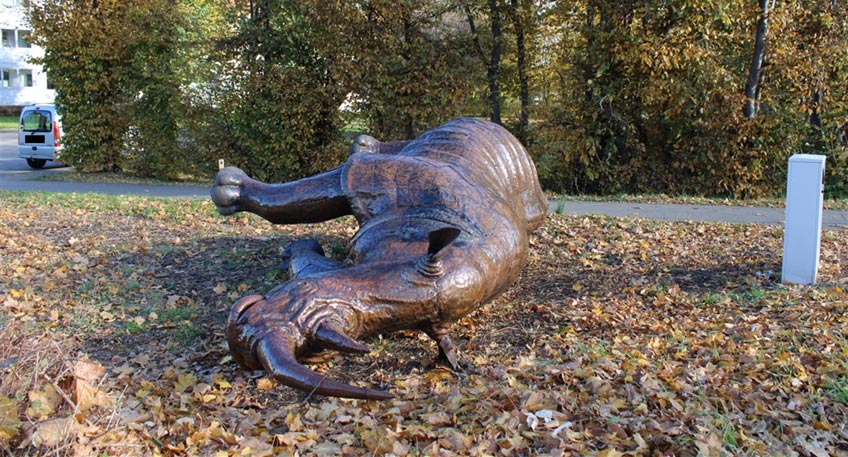 20211105 hallo minden nashorn