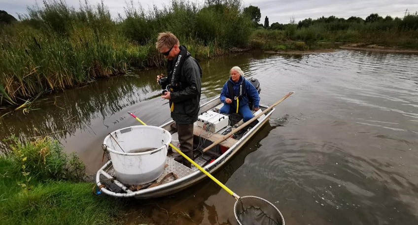 Seit rund drei Jahren sind die beiden &Ouml;koprojekte - Stadtbl&auml;nke L&ouml;ffler und &Ouml;kopolder Neue Fahrt - fertig. Den Weserfreunden Minden ist dabei nicht nur die geringere Hochwassergefahr f&uuml;r die Stadtbl&auml;nke auf der rechten Weserseite, sondern besonders die Schaffung von Lebensr&auml;umen f&uuml;r die Fische wichtig.
